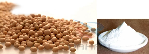 大豆蛋白粉 大豆蛋白粉